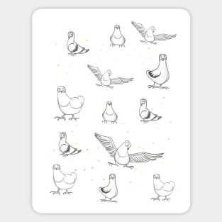 Cool Pigeons Pattern Sticker